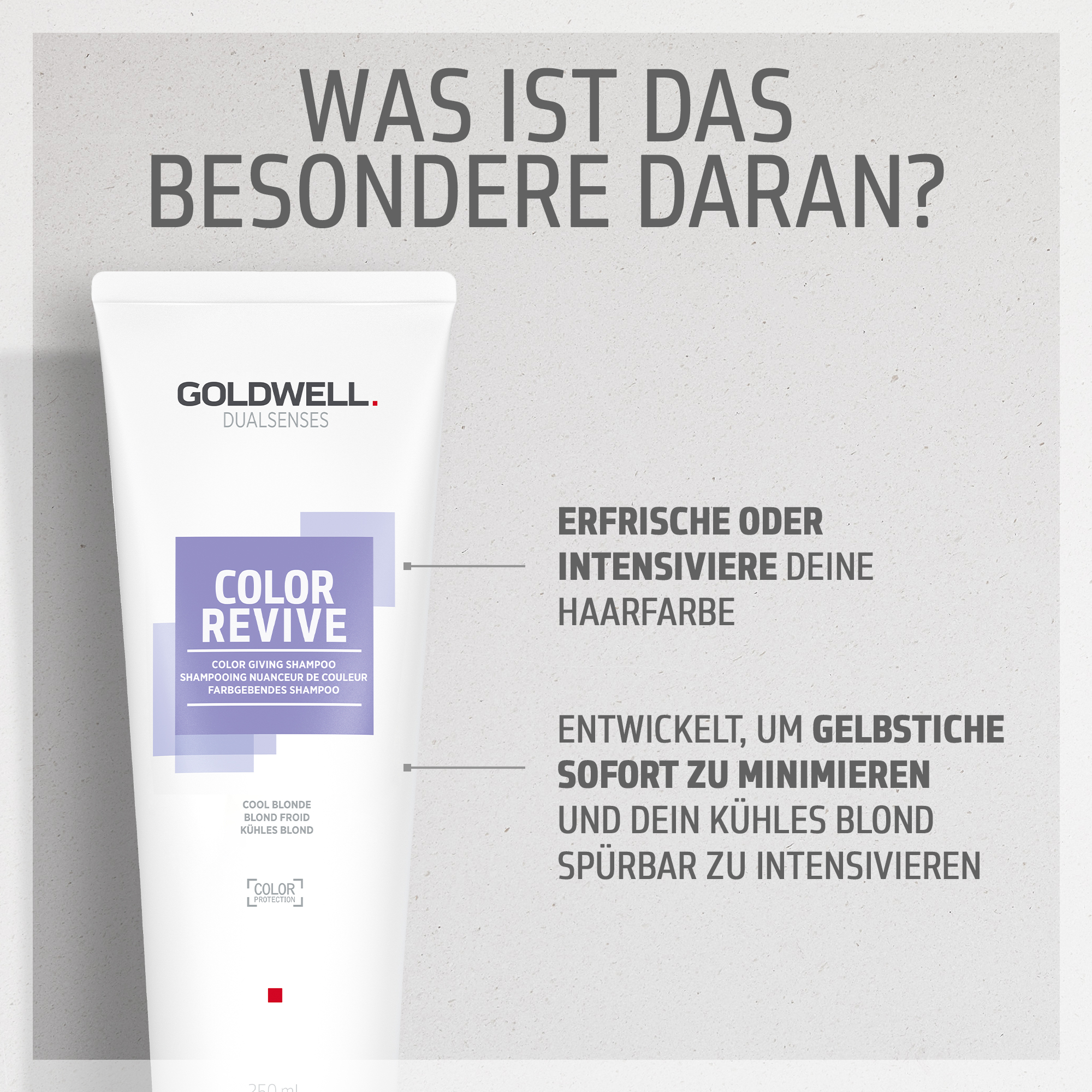 Goldwell Dualsenses Color Revive Shampoo Kühles Blond 250ml