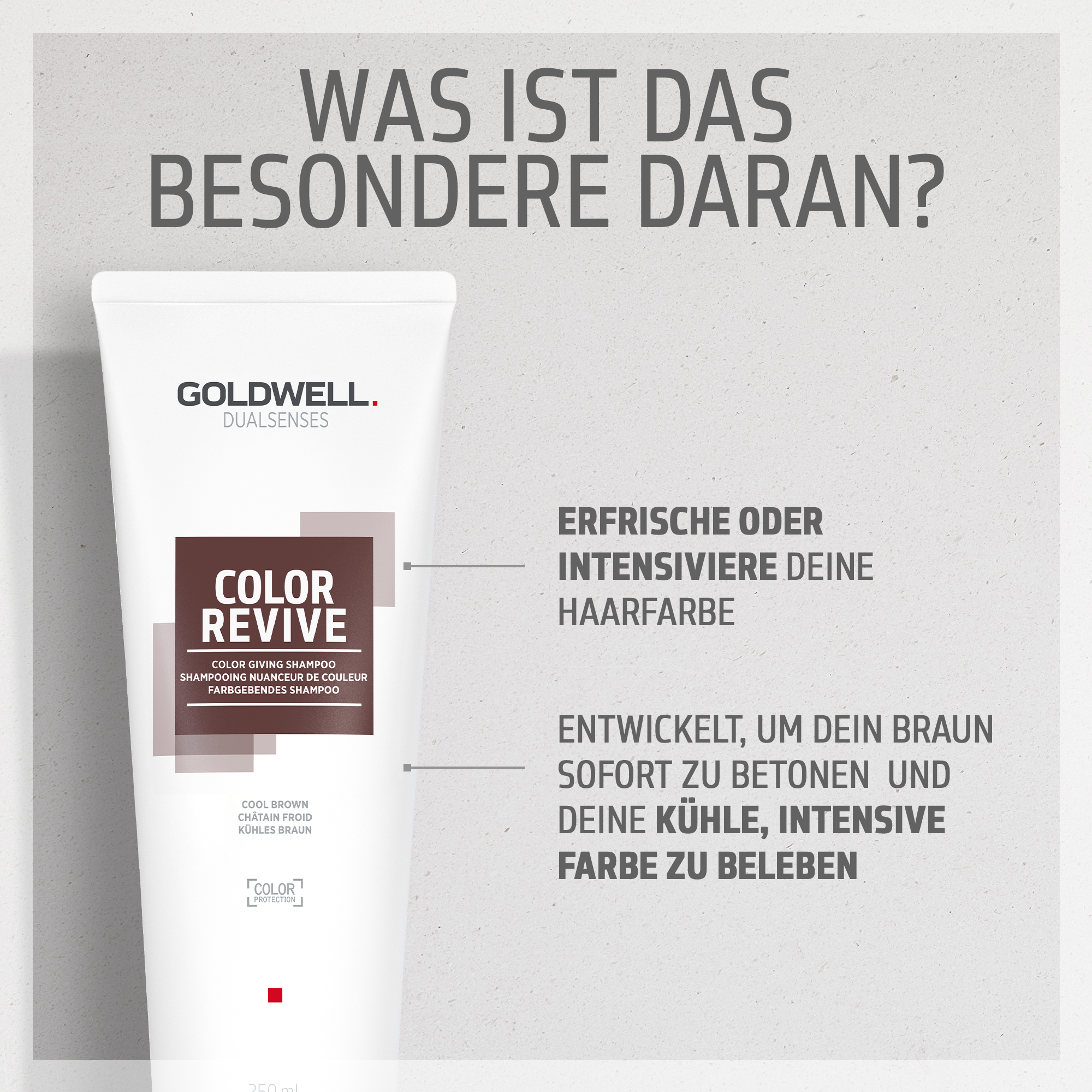 Goldwell Dualsenses Color Revive Shampoo Kühles Braun 250ml